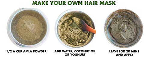 Natures Root Amla polvo orgánico – para peluquería, pérdida de cabello, crecimiento del cabello