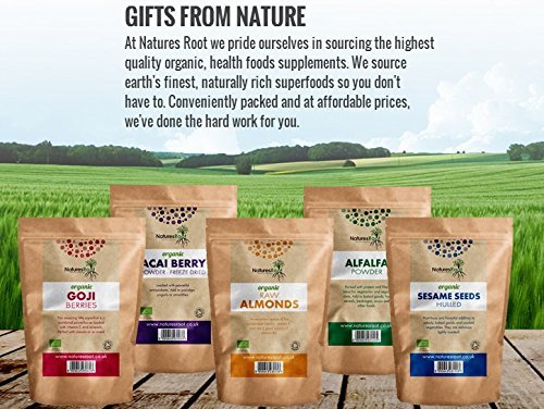 Natures Root MSM Powder 125 g - Metisulfonimetano - Polvo Puro 99,9%