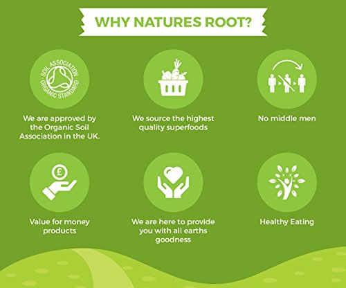 Natures Root MSM Powder 125 g - Metisulfonimetano - Polvo Puro 99,9%