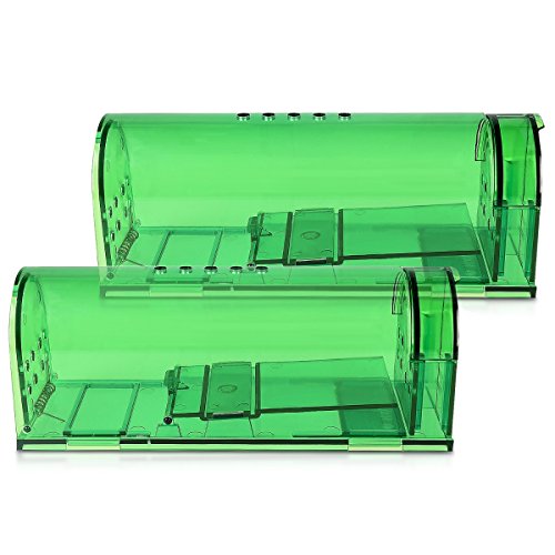 Navaris 2X Trampa para Ratas - Set de 2 trampas para Ratones y Otros Animales pequeños - Ratonera de plástico de Color Verde Transparente