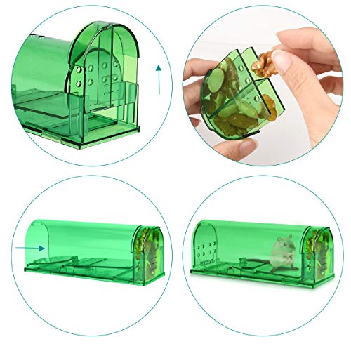 Navaris 2X Trampa para Ratas - Set de 2 trampas para Ratones y Otros Animales pequeños - Ratonera de plástico de Color Verde Transparente