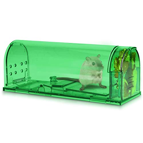Navaris 2X Trampa para Ratas - Set de 2 trampas para Ratones y Otros Animales pequeños - Ratonera de plástico de Color Verde Transparente