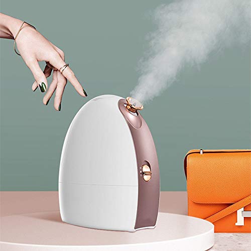 NBLL Equipo de SPA Facial con Vapor de Sudor frío y Caliente, máquina de vaporización de Iones hidratantes personales, Cuidado de la Piel, Adecuado para SPA de Sauna Facial en casa, poros limpios