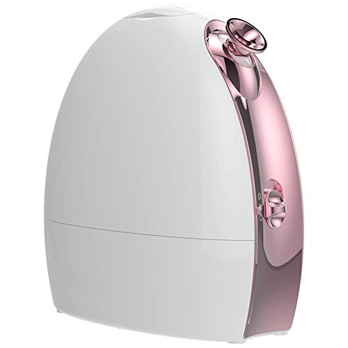 NBLL Equipo de SPA Facial con Vapor de Sudor frío y Caliente, máquina de vaporización de Iones hidratantes personales, Cuidado de la Piel, Adecuado para SPA de Sauna Facial en casa, poros limpios
