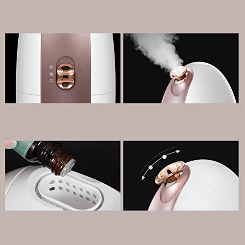 NBLL Equipo de SPA Facial con Vapor de Sudor frío y Caliente, máquina de vaporización de Iones hidratantes personales, Cuidado de la Piel, Adecuado para SPA de Sauna Facial en casa, poros limpios