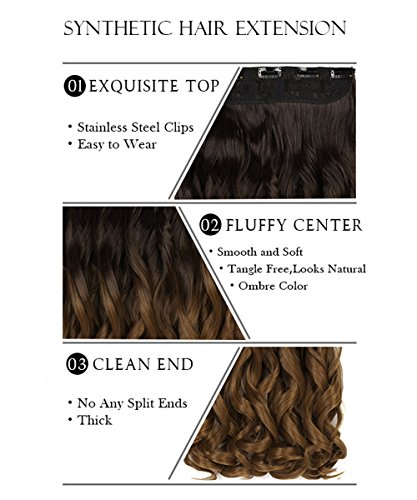 Neverland Beauty & Health 6#/27# - Extensiones de clip de pelo ondulado, 60 cm de largo, mechas ombré (teñido por inmersión)