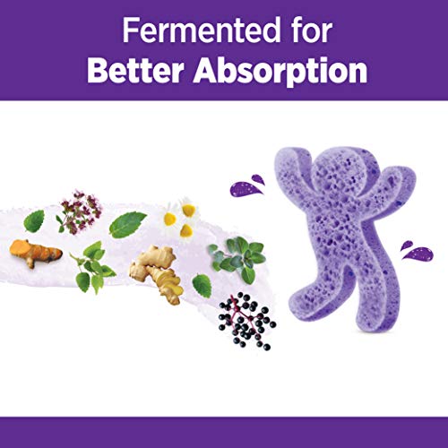 New Chapter Every Man, Men's Multivitamin Fermented with Probiotics + Selenium + B Vitamins + Vitamin D3 + Organic Non-GMO Ingredients - 72 ct