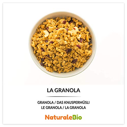 Nibs de Cacao Crudo Ecológico 1 kg. 100% Puntas de Cacao Bio, Natural y Puro. Cultivado en Perú a partir de la planta Theobroma cacao. Fuente de magnesio, potasio y hierro. NaturaleBio