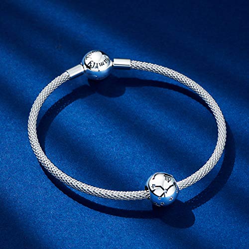 NINGAN Tauro Encantos del Cumpleaños de 12 Signos del Zodiaco - Encantos de Plata Esterlina de 925 Ajustan Pulsera & Collar- Regalos de cumpleaños Ideales para Mujeres y Amigos