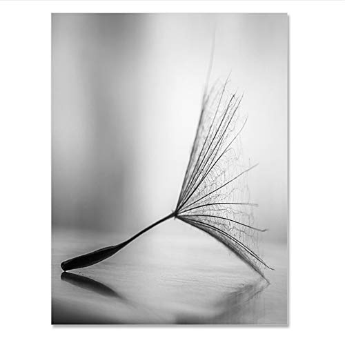 NO BRAND Cuadro en Lienzo Flor de Diente de león Moderno Negro Blanco Imágenes de Arte para la decoración del hogar Sala de Estar Cartel de Pared Abstracto 50x70cm (19.7"x27.6) x3    Sin Marco