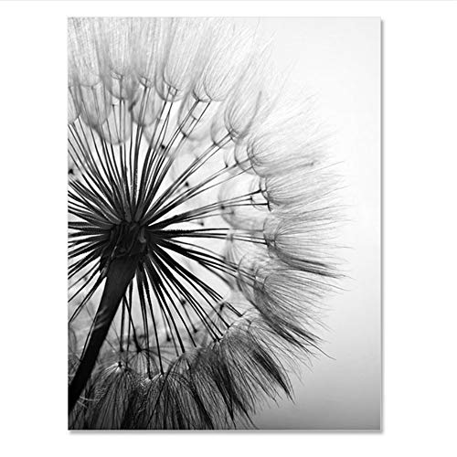 NO BRAND Cuadro en Lienzo Flor de Diente de león Moderno Negro Blanco Imágenes de Arte para la decoración del hogar Sala de Estar Cartel de Pared Abstracto 50x70cm (19.7"x27.6) x3    Sin Marco