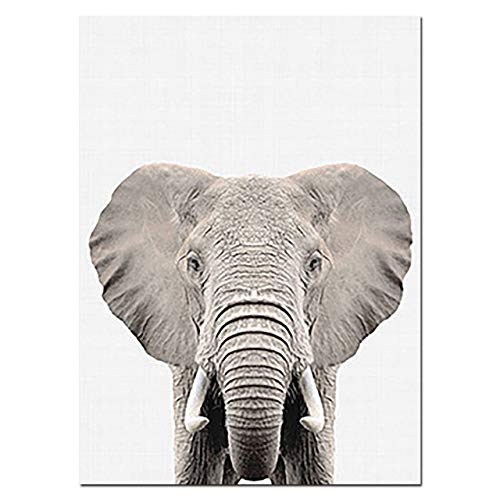 Nordic Ideas Juego de 4 Cuadros Niños 30x40 Elefante Cebra Jirafa León Laminas Infantil Animales Pósteres Impresión en Lienzo Decoración Habitación Bebé Regalo Sin Marco ZEGL