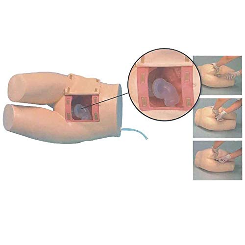 NOSSON Simulador De Entrenamiento Avanzado De Enemas Y Defecación Asistida, Modelo De Entrenamiento De Enemas Y Defecación, Ayudas para La Enseñanza Médica