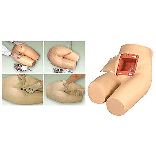 NOSSON Simulador De Entrenamiento Avanzado De Enemas Y Defecación Asistida, Modelo De Entrenamiento De Enemas Y Defecación, Ayudas para La Enseñanza Médica