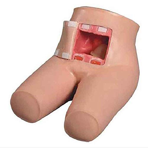 NOSSON Simulador De Entrenamiento Avanzado De Enemas Y Defecación Asistida, Modelo De Entrenamiento De Enemas Y Defecación, Ayudas para La Enseñanza Médica