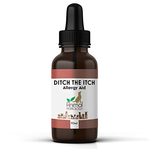 (Nuevo) NATURAL - ABANDONAR EL ITCH - 50ml, ALERGIAS DE MASCOTAS, ECZEMA, DERMATITIS, PIELES SENSIBLES CON LAS CONDICIONES DE LA PIEL, PIEL SENSIBLE, ANTI-HISTAMINA, FÁCIL DE ADMINISTRAR GOTAS.