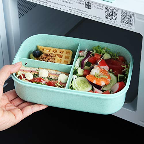 O-Kinee Fiambrera Niños Ecologica, Caja de Almuerzo Portatil con 3 Compartimentos Fiambrera Hermetica con Cubiertos BPA-Free No-Tóxico 1100ML Caja de Almuerzo para Adultos y Niños (Verde)