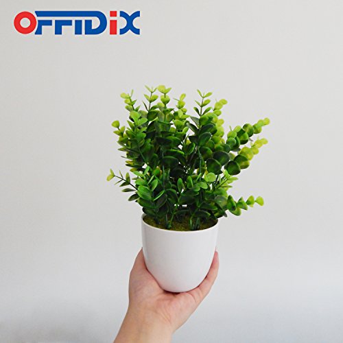 offidix Mini plástico Artificial plantas con jarrón para escritorio de la oficina, hogar y amigos de regalo artificial plantas con macetas de plástico para decoración del hogar