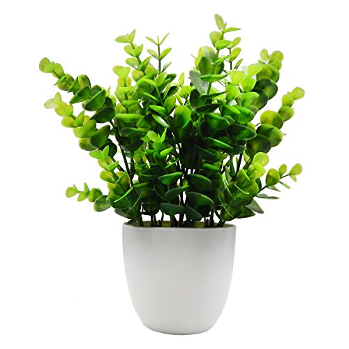 offidix Mini plástico Artificial plantas con jarrón para escritorio de la oficina, hogar y amigos de regalo artificial plantas con macetas de plástico para decoración del hogar