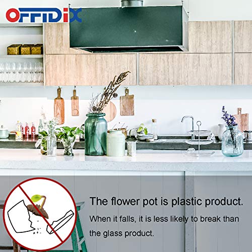 OFFIDIX Plantas Artificiales Mini eucalipto de plástico con jarrón Cuadrado Plantas de plástico sintético Planta Falsa con macetas de plástico para la decoración del hogar