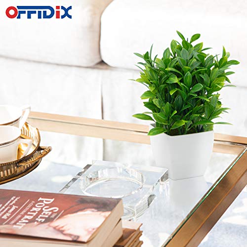 OFFIDIX Plantas Artificiales Mini eucalipto de plástico con jarrón Cuadrado Plantas de plástico sintético Planta Falsa con macetas de plástico para la decoración del hogar