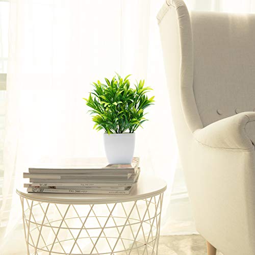 OFFIDIX Plantas Artificiales Mini Plantas de plástico con florero Cuadrado para Escritorio de Oficina, Plantas de plástico sintéticas para el hogar Plantas Falsas con macetas de plástico