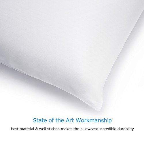 OLESILK - Funda de almohada de seda de morera 100% con cremallera oculta para el pelo y la piel, ambos lados 16 mm caja de regalo Charmeuse 1 unidad, seda sintética, Blanco, 50 x 70 cm