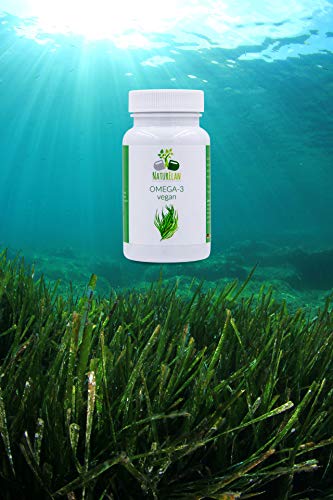 Omega 3 vegano, sin aceite de pescado, aceite de algas - 60 cápsulas, 40% de DHA (250 mg de DHA por cápsula), vegetariano de la microalga Schizochytrium - cápsulas de aceite de algas