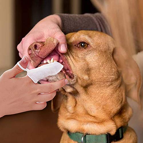OneBarleycorn – 6 Piezas Cepillos de Dedos de Algodón para Perros y Gatos, Limpiador de Dientes para Mascotas, Cuidado Dental