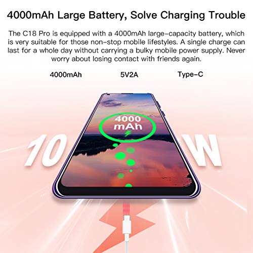 OUKITEL C18 Pro Teléfono Móvil Libre 2020, Cámara AI de Cuatro Lentes 16MP+8MP+5MP+2MP, Pantalla HD+6.55 Pulgadas,4GB+64GB, Smartphone Libres,Helio P25 Octa-Core, Batería 4000 mAh,Android 9.0,Dual 4G