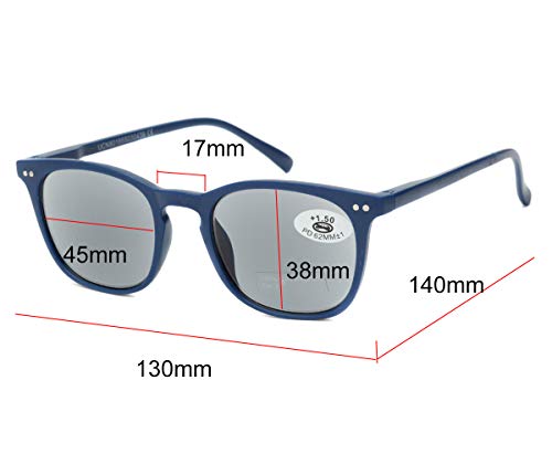 Pack de 4 Gafas de Lectura de Sol Vista Cansada Presbicia con Protección UV 100%, Graduadas Dioptrías +1.00 hasta +3.50, Montura de Pasta, Bisagras de Resorte, Unisex (+250 (836))