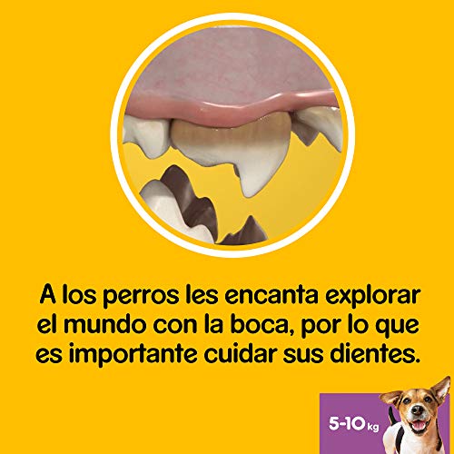 Pack de 56 Dentastix de uso diario para la limpieza dental de perros pequeños (Pack de 1)
