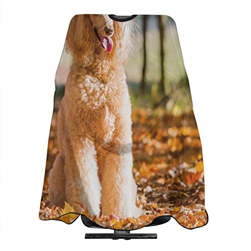 Pag Crane Retrato de un caniche Real en un Delantal de Corte de Pelo Profesional Autumn Fores con Cierre a presión Ajustable para peluqueros y barberos