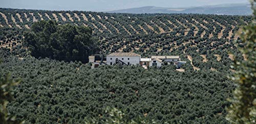 PAGO DE ESPEJO Aceite Oliva Virgen Extra Gourmet de Jaén. Estuche Edición Limitada 500ml. Pago de Espejo.