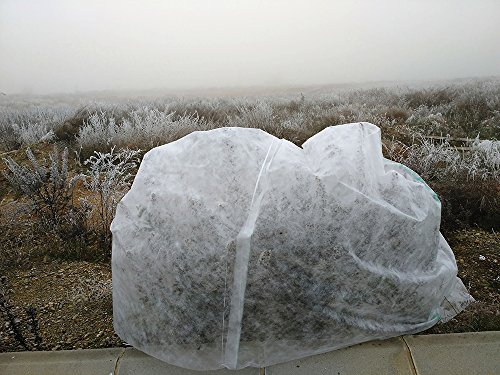 PAMPOLS Manta térmica de 4,10x12 Metros para Proteger Cultivos, Plantas y árboles de Exterior de Las heladas. Malla Anti-heladas. Protector Plantas.