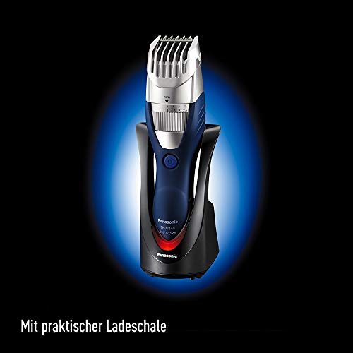 Panasonic ER-GB40-S503 - Cortapelos en seco y húmedo, lavable, cuchilla con ángulo de 45º, color plateado