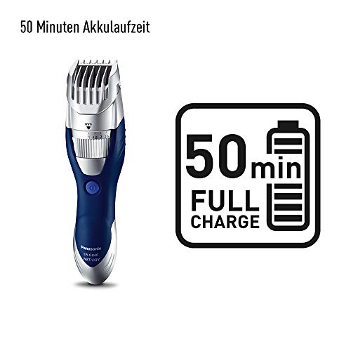 Panasonic ER-GB40-S503 - Cortapelos en seco y húmedo, lavable, cuchilla con ángulo de 45º, color plateado