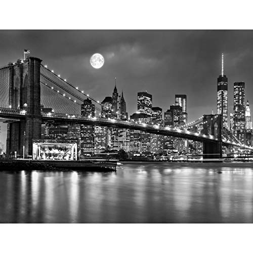 Papel Pintado Fotográfico New York 352 x 250 cm Tipo Fleece no-trenzado Salón Dormitorio Despacho Pasillo Decoración murales decoración de paredes moderna - 100% FABRICADO EN ALEMANIA - 9101011b