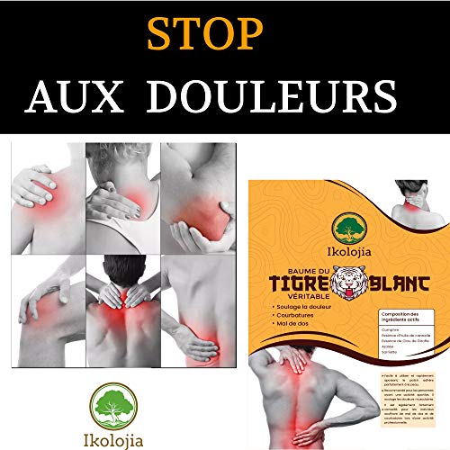 Parche de bálsamo de tigre blanco caliente (X16) | Antiinflamatorio, dolor de espalda, dolor de cuello, dolores musculares y articulares. Solía ​​en medicina china [parches térmicos | Tamaño 10X7cm]