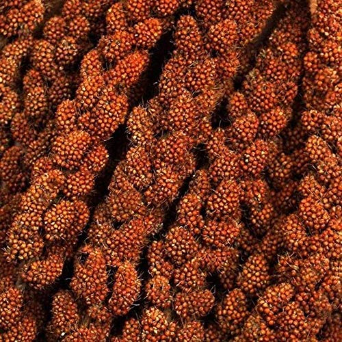 Parrot Essentials Trata De Loro Natural En Spray Rojo De Mijo Francés 350 g