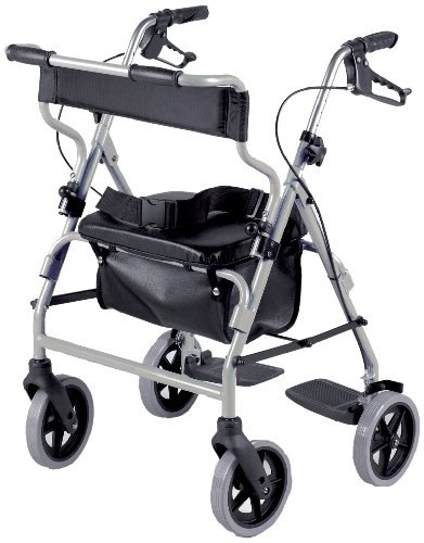 Patterson Medical - Andador y silla de transporte 2 en 1, color plateado