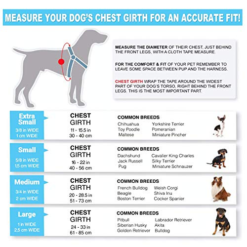 Pawtitas Adiestramiento Arnés para Perro o Cachorro Reflectante | Arnes Perro Antitirones Easy Walk | Arneses para Perro para Entrenamiento - Arnes Perros Pequeño Turquesa