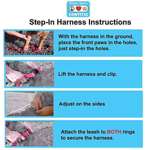 Pawtitas Adiestramiento Arnés para Perro o Cachorro Reflectante | Arnes Perro Antitirones Easy Walk | Arneses para Perro para Entrenamiento - Arnes Perros Pequeño Turquesa