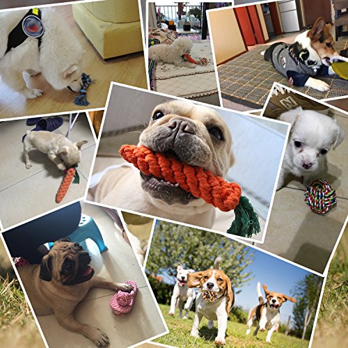 PEDY Juguetes de Cuerda para Perros Durables Masticables 10 Piezas, Grupo de Juguetes para Mantener a Su Perro Sano y Dientes Cuidado, para Perros Pequeños y Medianos