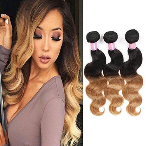 pelo humano natural brasileño brasileño onda cuerpo Virgen cabello Ombre 2 tono Ombre trama pelo humano onda 3 paquetes (14 16 18 inch, 1b/27 color)