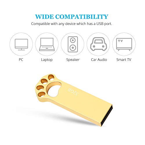 Pendrive 32GB, Metal Memoria USB 32 GB Mini Pen Drive USB 2.0 Memoria Flash 32GB para Computadoras, Tabletas Almacenamiento de Datos Externo (Oro)