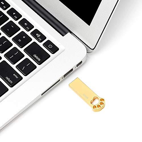 Pendrive 32GB, Metal Memoria USB 32 GB Mini Pen Drive USB 2.0 Memoria Flash 32GB para Computadoras, Tabletas Almacenamiento de Datos Externo (Oro)