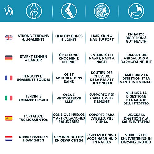 Péptidos de Colágeno Bovino Hidrolizado en Polvo 500gr Suplemento De Colágeno Puro 100% Natural Para la Piel, Cabello y Articulaciones, Aumenta la Recuperación Muscular, Colágeno tipo 1 y 3