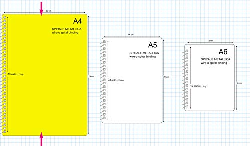 Personal Planner - DIARIO de DIETA - 100 DÍAS - cuaderno con espiral A4 21x30cm