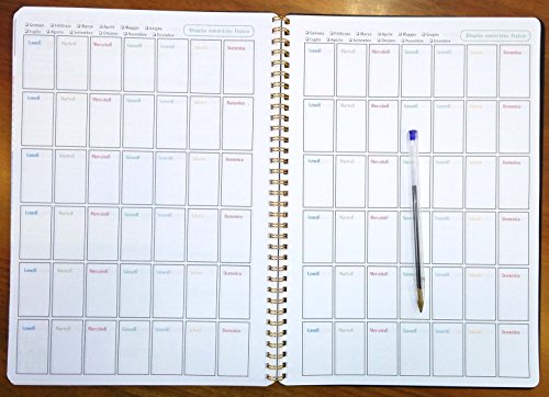 Personal Planner - DIARIO de DIETA - 100 DÍAS - cuaderno con espiral A4 21x30cm